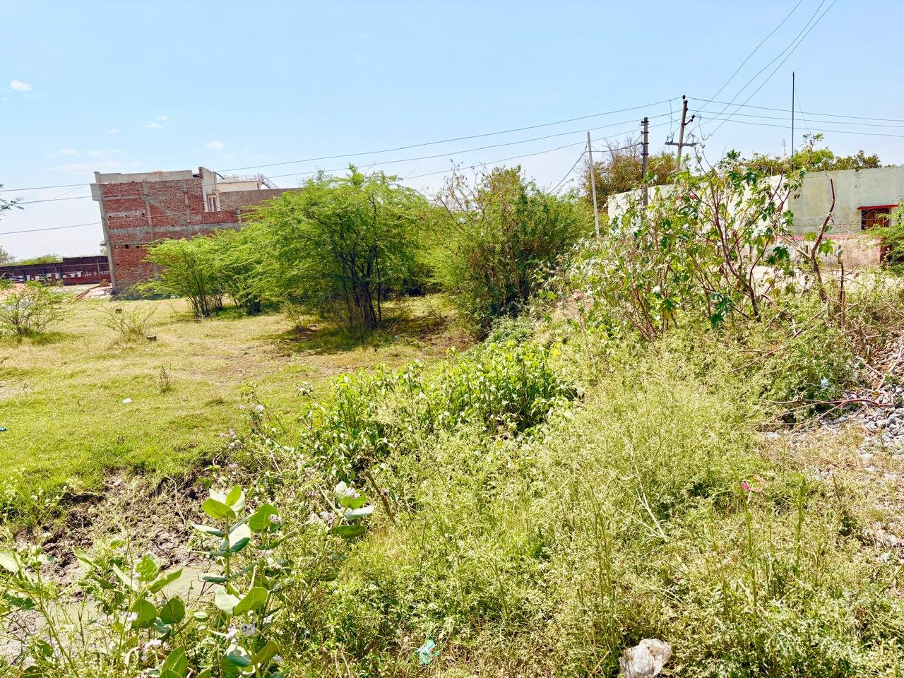 S S कॉलेज के बगल में 15*50 का प्लॉट  gallery 3