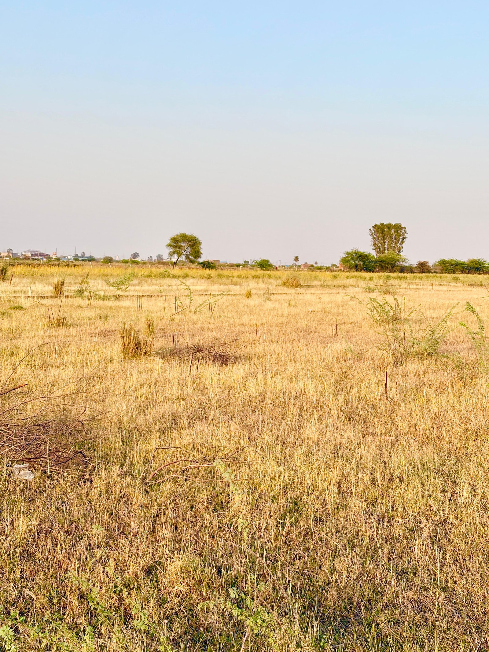 S R पब्लिक स्कूल के पीछे 30*40 sqft का प्लॉट  gallery 3