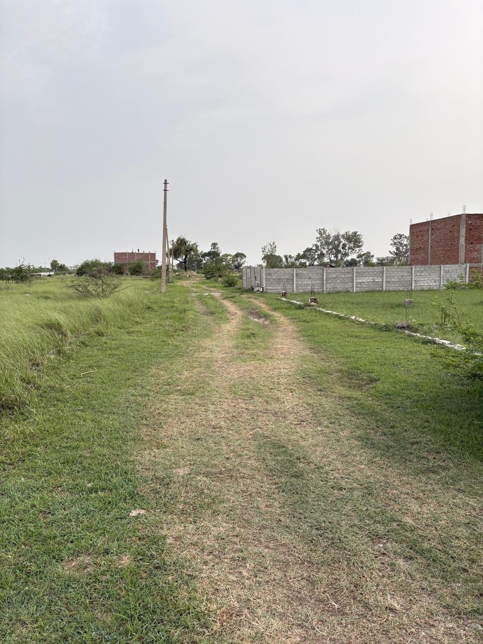 🏡 कोंच रोड पर 40×50 का शानदार प्लॉट बिक्री हेतु